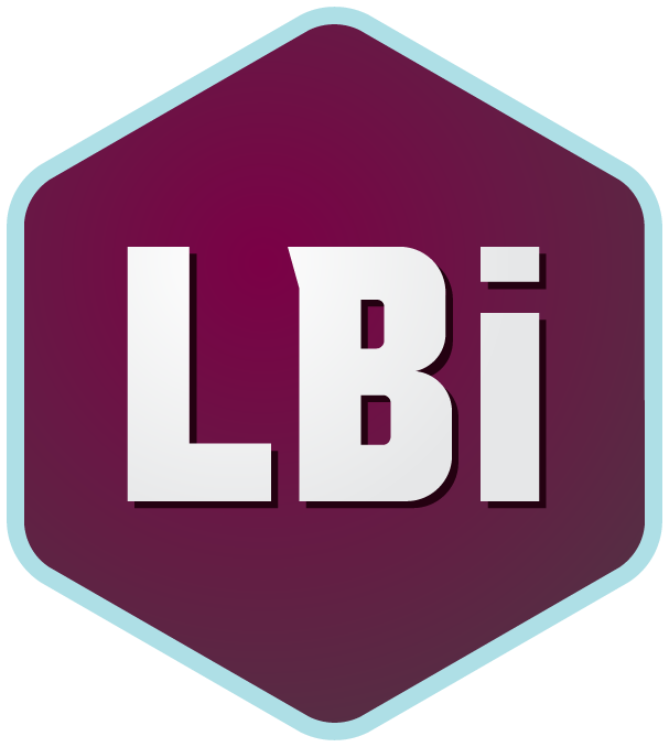 LBi Software logo